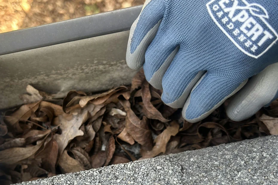 Gutter Cleaning Macungie