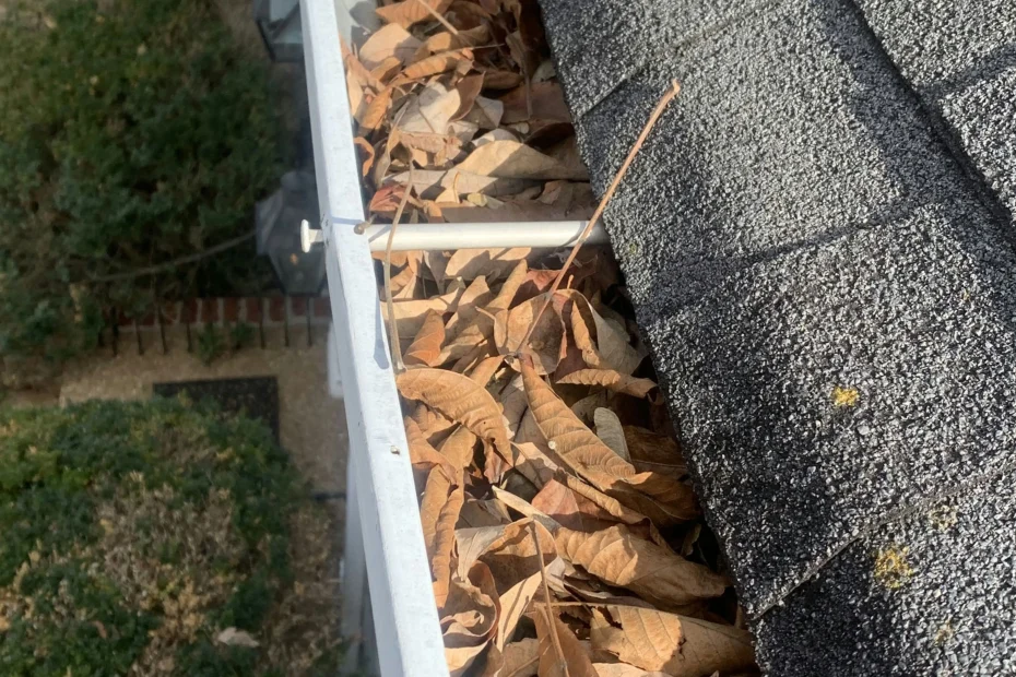 Gutter Cleaning Macungie