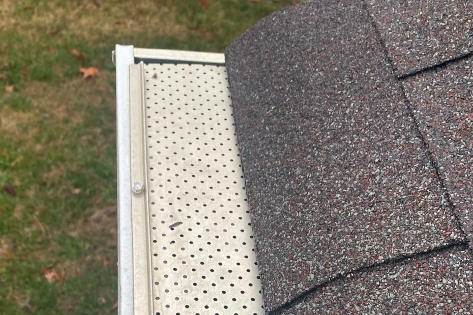 Gutter Cleaning Macungie