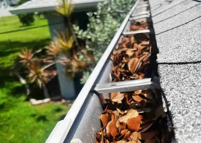 Gutter Cleaning Macungie home page